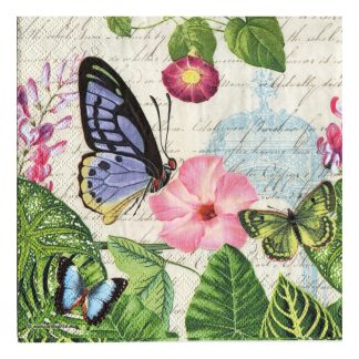 Servilleta Mariposa 15