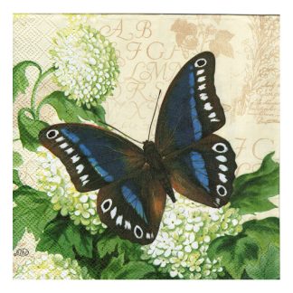 Servilleta Mariposa 26
