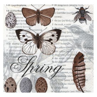 Servilleta Mariposa 58