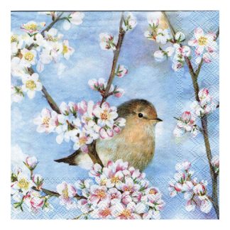 Servilleta Pájaros 01
