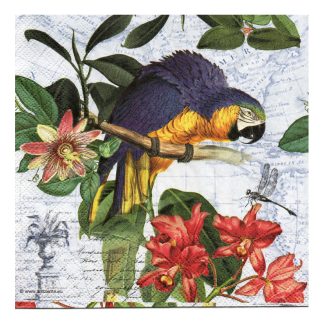 Servilleta Pájaros 18