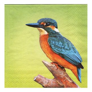 Servilleta Pájaros 02