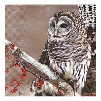 Servilleta Pájaros 38