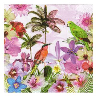 Servilleta Pájaros 44