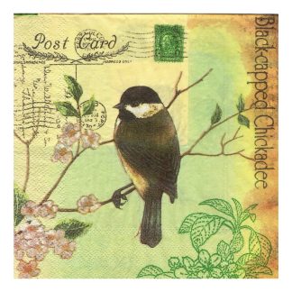 Servilleta Pájaros 62