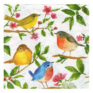 Servilleta Pájaros 67