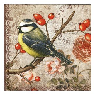 Servilleta Pájaros 71