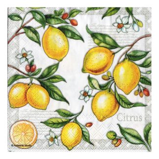 Servilleta Cocina 010