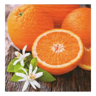 Servilleta Cocina 141