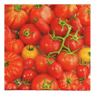 Servilleta Cocina 017