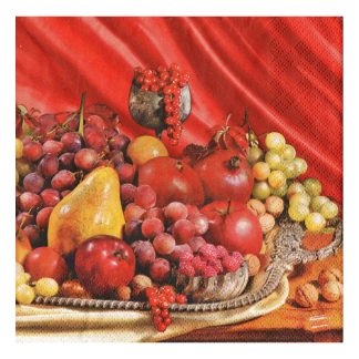 Servilleta Cocina 029