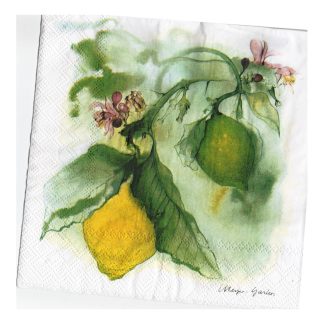 Servilleta Cocina 040