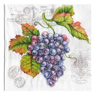 Servilleta Cocina 057