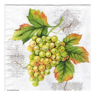 Servilleta Cocina 058