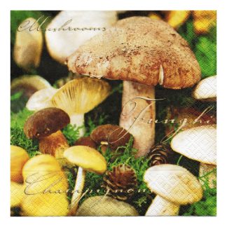 Servilleta Cocina 074