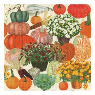 Servilleta Cocina 079