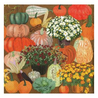 Servilleta Cocina 080