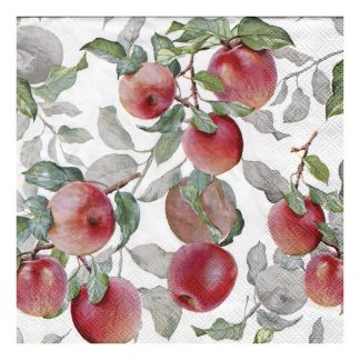 Servilleta Cocina 096