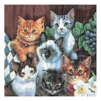 Servilleta Gatos 12