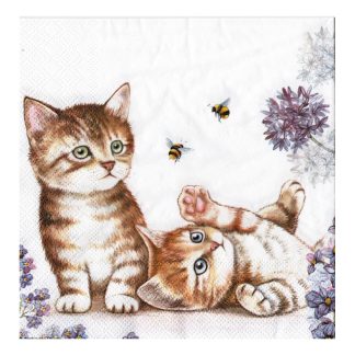 Servilleta Gatos 13