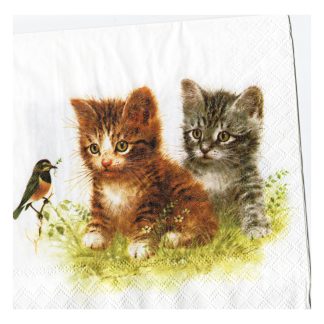 Servilleta Gatos 16