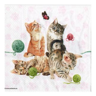 Servilleta Gatos 17