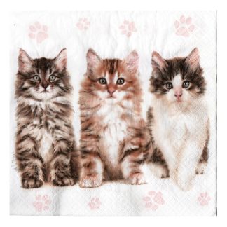 Servilleta Gatos 07