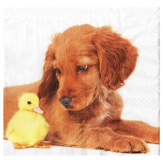 Servilleta Perros 11