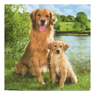 Servilleta Perros 13