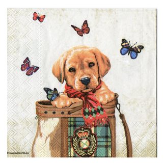 Servilleta Perros 02