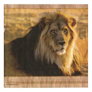 Servilleta Animales 24