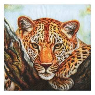 Servilleta Animales 27