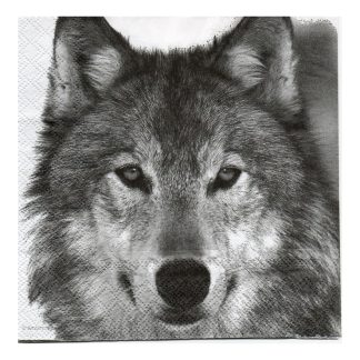 Servilleta Animales 34