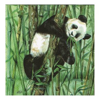 Servilleta Animales 05