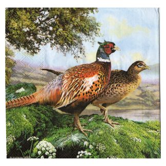 Servilleta Animales 07