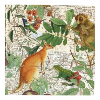 Servilleta Animales 08