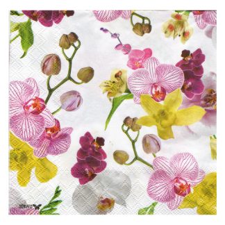 Servilleta Flores Pequeñas 124