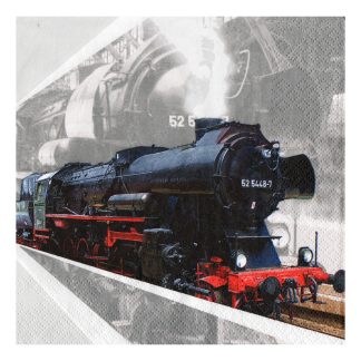 Servilleta Paisajes 44