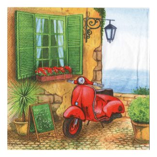 Servilleta Paisajes 46