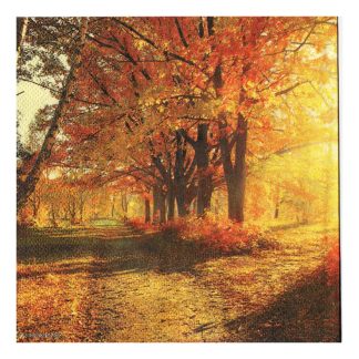 Servilleta Paisajes 07