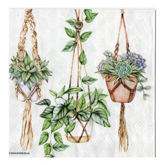 Servilleta Cactus 01