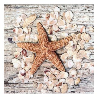 Servilleta Marina 04