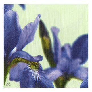 Servilleta Flores Grandes 22