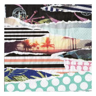 Servilleta Misceláneos 095