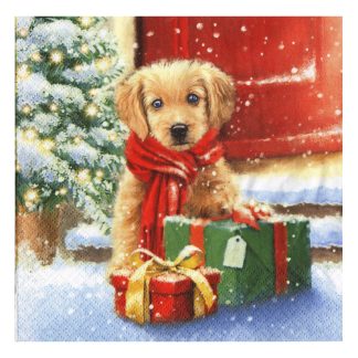 Servilleta Navidad 004